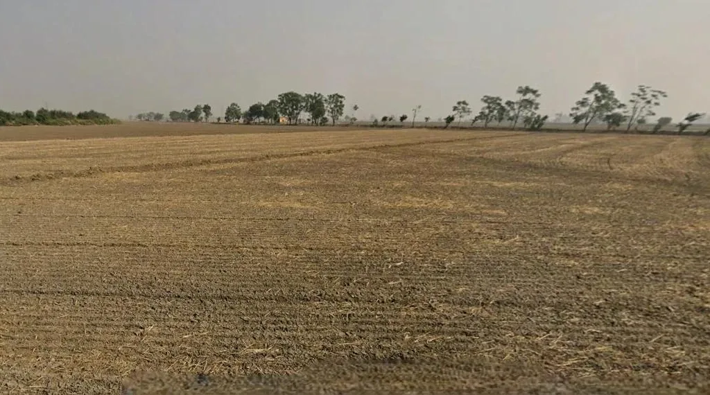 Barren land affected by urea